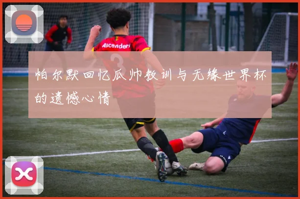 帕尔默回忆瓜帅教训与无缘世界杯的遗憾心情