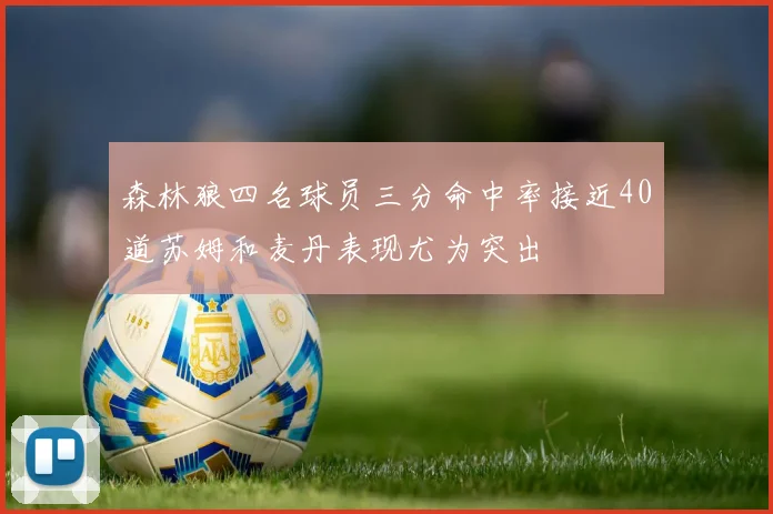 森林狼四名球员三分命中率接近40道苏姆和麦丹表现尤为突出